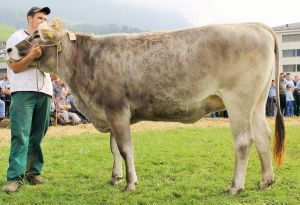 141011Nidwalden 095